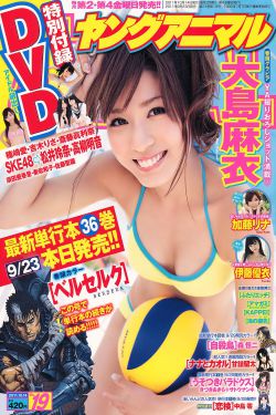 与凤行电视剧大全免费版